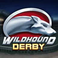 VK88 Wildhound Derby